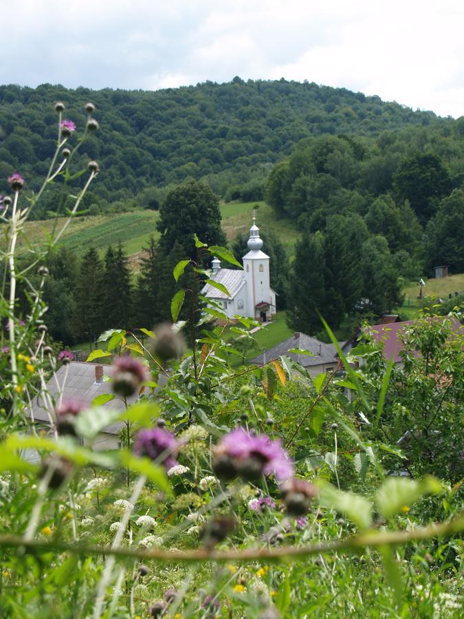 Ecolodge Novoselitsa  Esterno foto