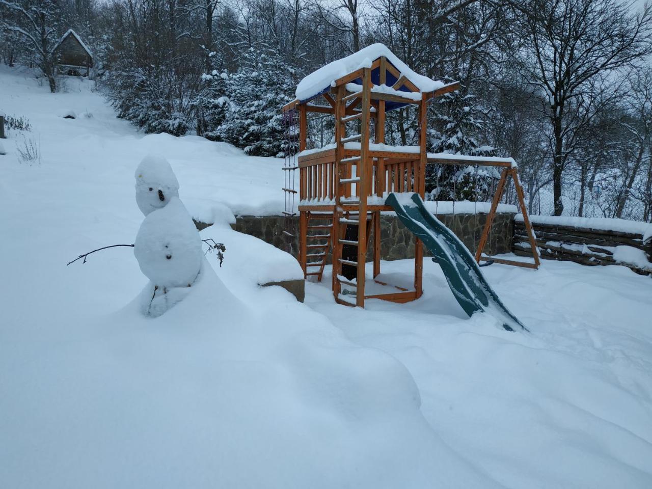 Ecolodge Novoselitsa  Esterno foto